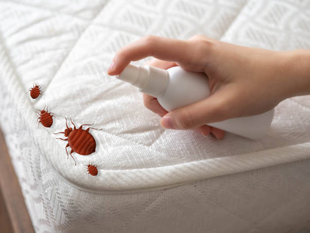 Best Residential Pest Control  in Coeur Dalene, ID