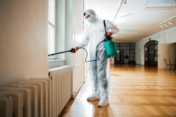 Best Wildlife Control Services  in Coeur Dalene, ID